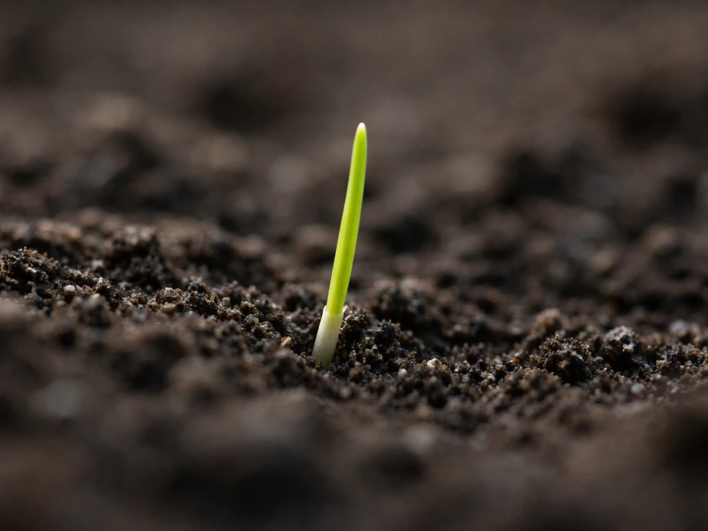 Close-up van een lichtgroen, draadachtig graszaadje dat door de grond breekt met zichtbare kieming.