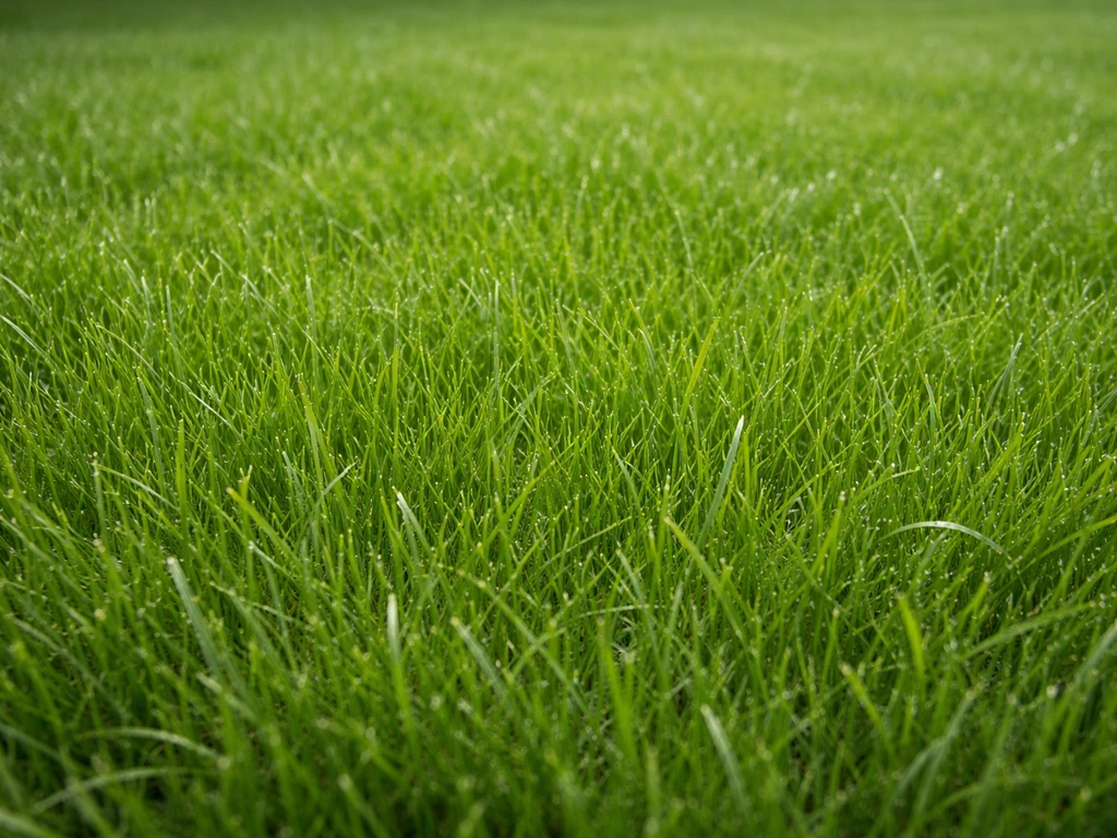 Dichtgroen Engels raaigras in een gebruiksgazon met duidelijke verticale bladstructuur, net buiten in natuurlijk licht.
