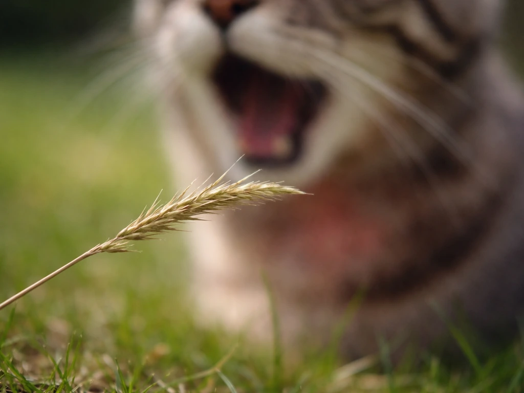 Scherp grasprietje dat mechanische irritatie in mond/keel van een kat symboliseert, zonder zichtbare wondjes.